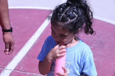 DSC_2076 (Large).JPG